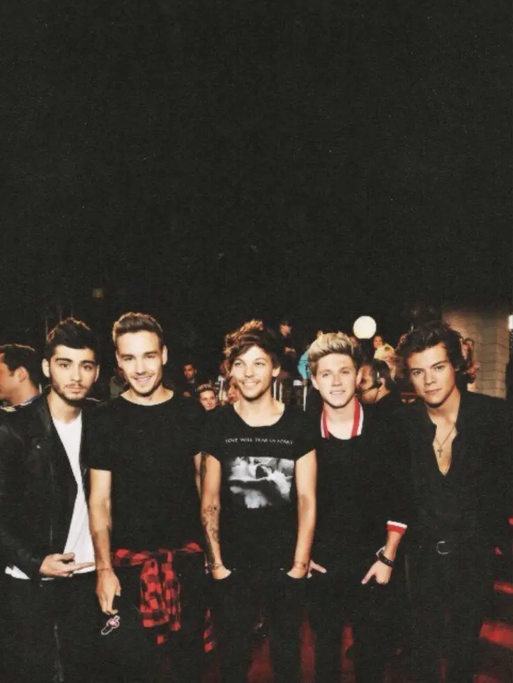 lipsticklexx의 One Direction - The World Tour