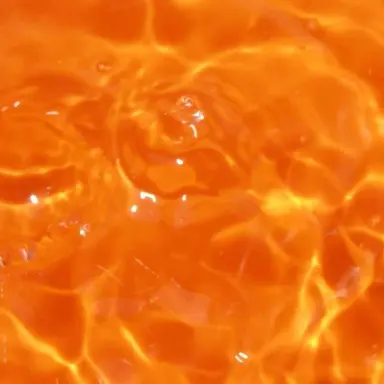 Profile image of 덕개