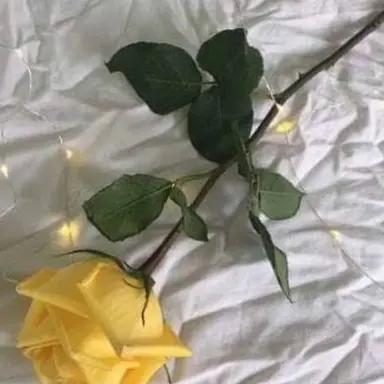 Profile image of 각별