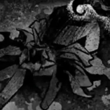 Profile image of 사일런트솔트 쿠키