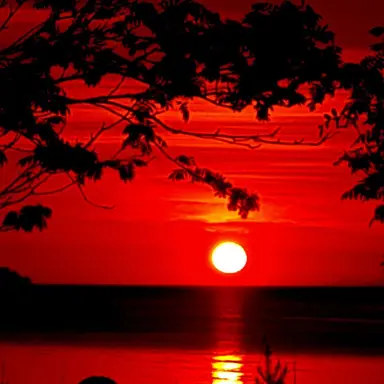 Profile image of 마플