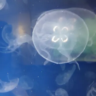 Profile image of 流輝のグループの人