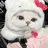 미츄 조직