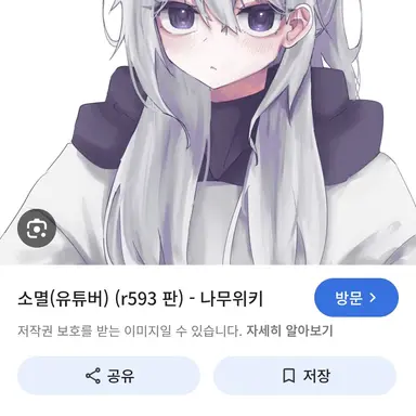 Profile image of Somyeol