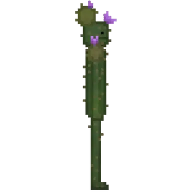 Profile image of Cactus