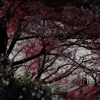 BossyAddax9227의 Forest