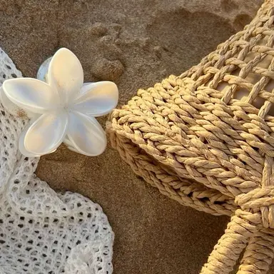 Profile image of 공룡