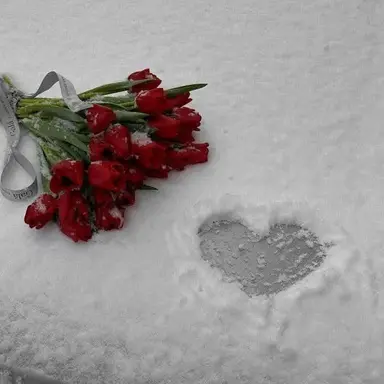 Profile image of 권지용