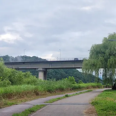 Profile image of 김도한