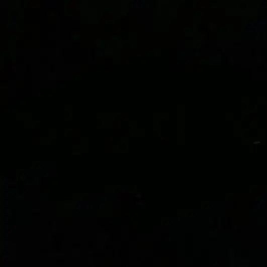 reh의 ­