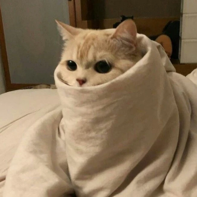 김재욱