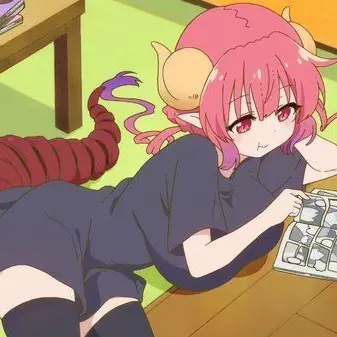 Profile image of イルル