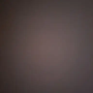 Profile image of 라더