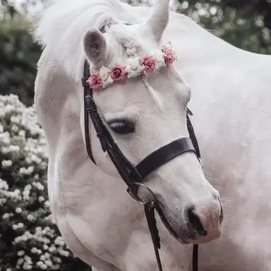 Profile image of リーフ