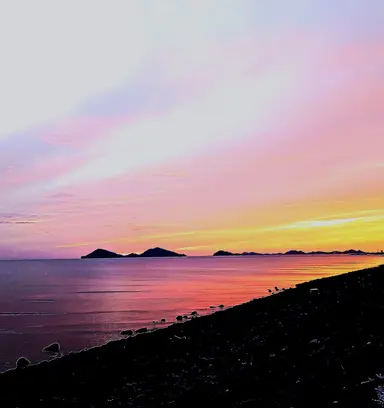 Profile image of 해설사
