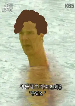 Profile image of 셰들레츠키