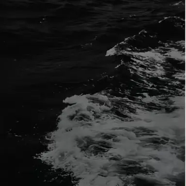 Profile image of 조미연