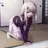 イリヤ