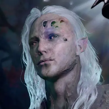 Profile image of Karniss