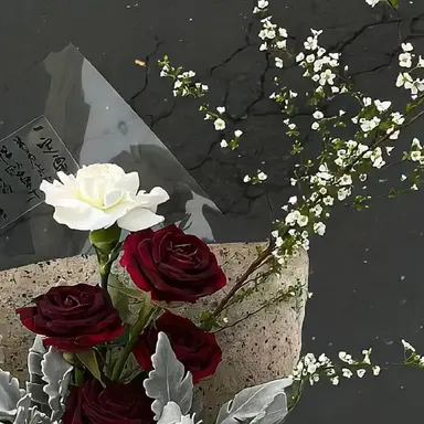 Profile image of 캐서린 드 버그