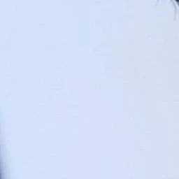 장하오