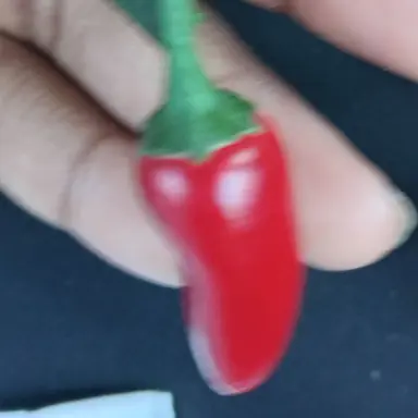 Profile image of Aizawa