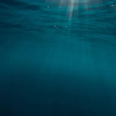 Profile image of 바다생물들