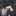 신성현