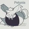 Profile image of 페투니아