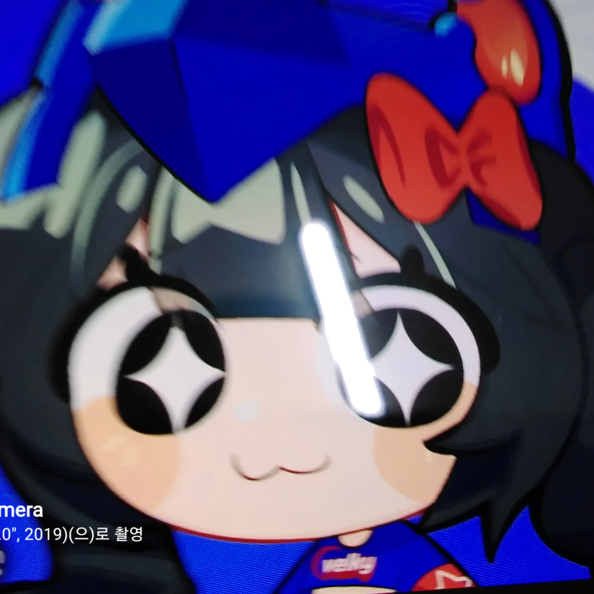 벨키