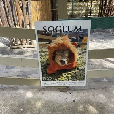 Profile image of 4학년1반