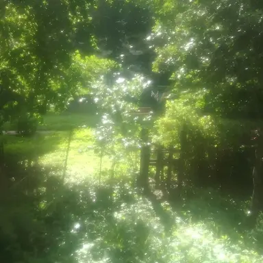 Profile image of 정형준