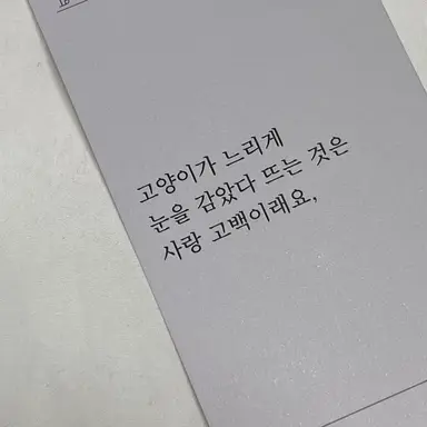 Profile image of 소상택