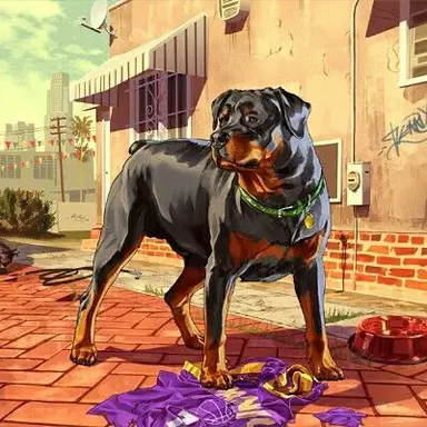 Profile image of Chop