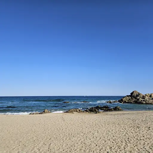 DottedVise6233의 뜰팁고등학교