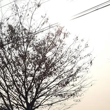 Profile image of ㄱㄷㅎ