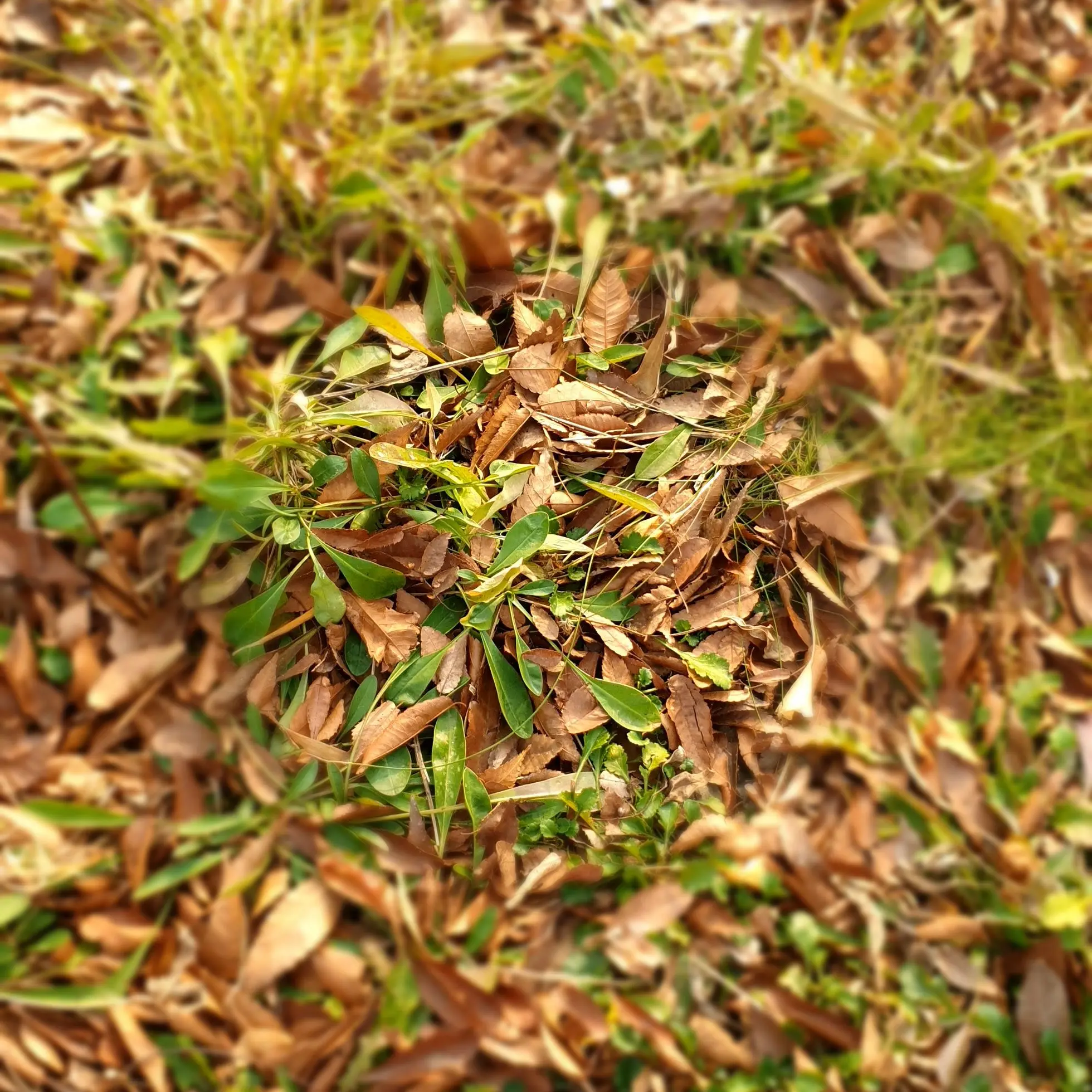 LonelyBulb8249의 보넥도 의사 오빠들