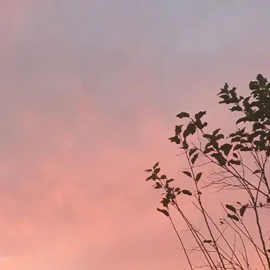 Profile image of ㄱㅇㅎ