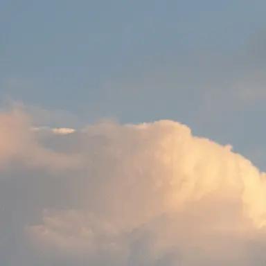 Profile image of ㅂㅅㅎ