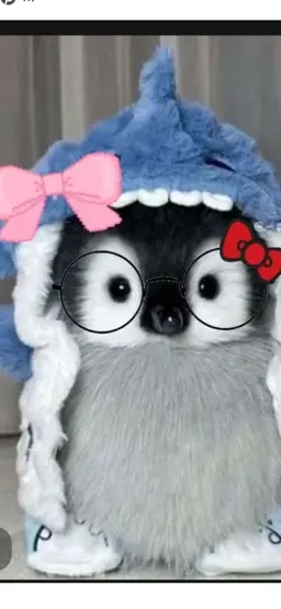 Profile image of Sihu