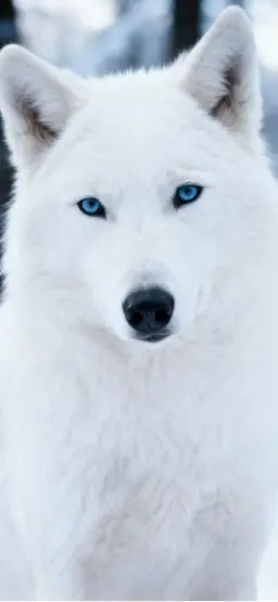 Profile image of Suhyuk