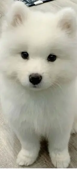 Profile image of Geonwoo