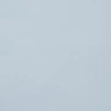 Profile image of 주인장