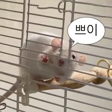 Profile image of 쉐어하우스 로봇