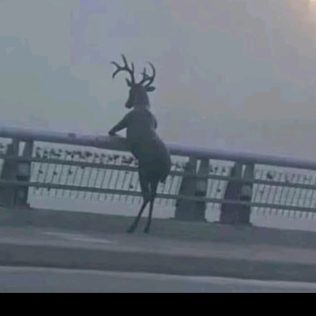 핑구
