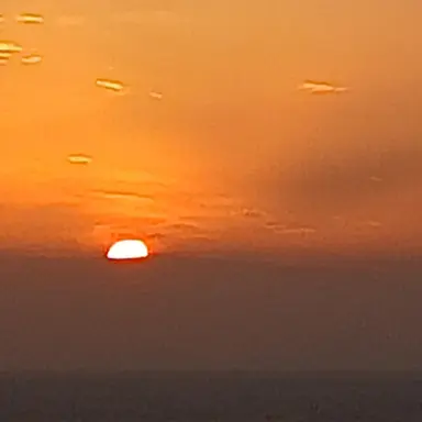 Profile image of 여우