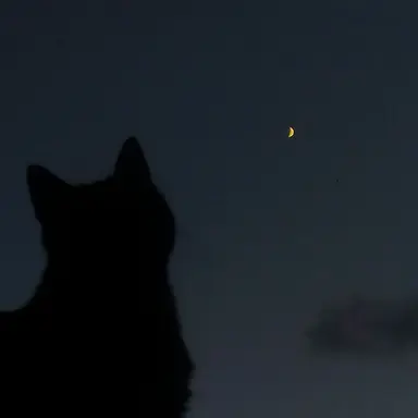 Profile image of 八左ヱ門