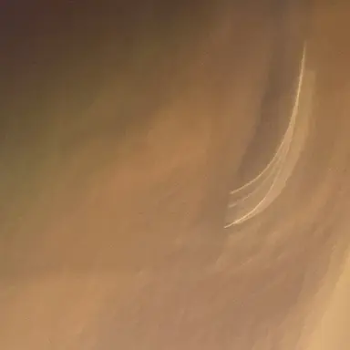 Profile image of 꽥