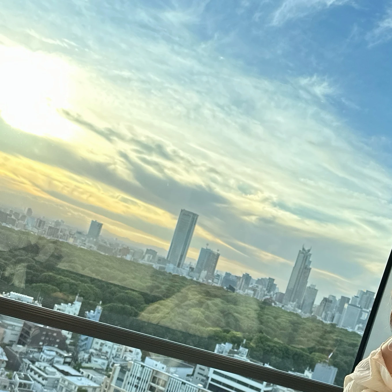 김동현