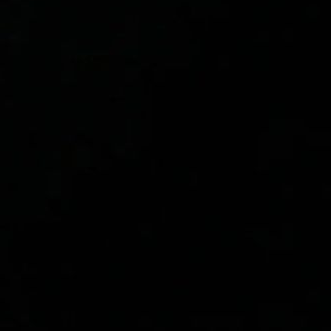 91319 대표 이미지